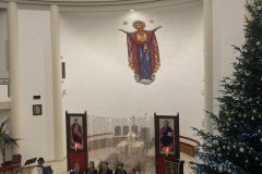 322520940_5646325918827505_2080006020127946816_n